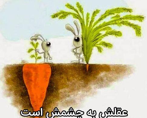 عکس ضرب المثل عقلش به چشمش است