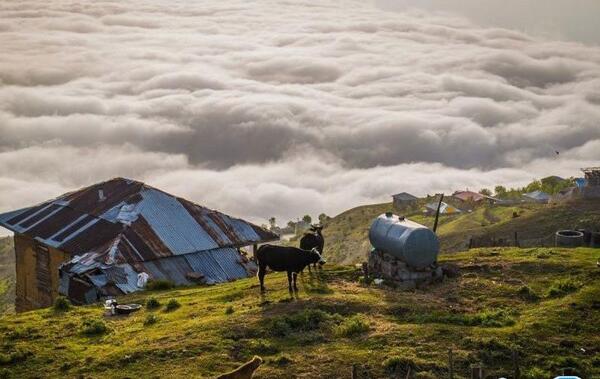 عکس منظره ی فیلبند