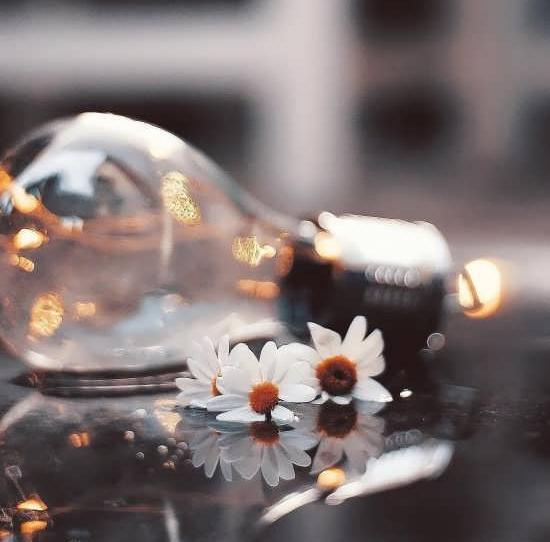 عکس پروف زیبا بدون متن