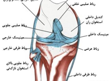 عکس ام ار ای پارگی مینیسک زانو