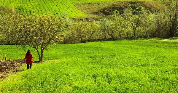 عکس از طبیعت ماه اردیبهشت