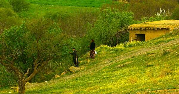 عکس از طبیعت ماه اردیبهشت
