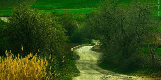 عکس از طبیعت ماه اردیبهشت