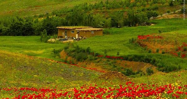 عکس از طبیعت ماه اردیبهشت