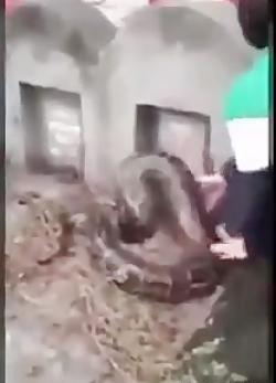 عکسهای وحشتناک عذاب قبر
