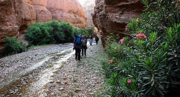 عکس از طبیعت گردی
