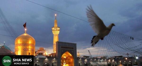 عکس حرم امام رضا در چشم کبوتر
