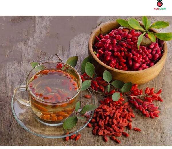 عکس چای زرشک