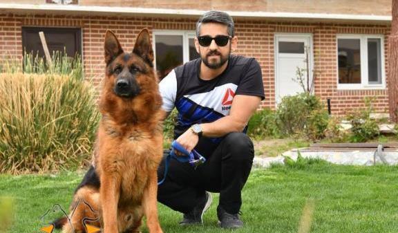 عکس سگ ژرمن پوکسز