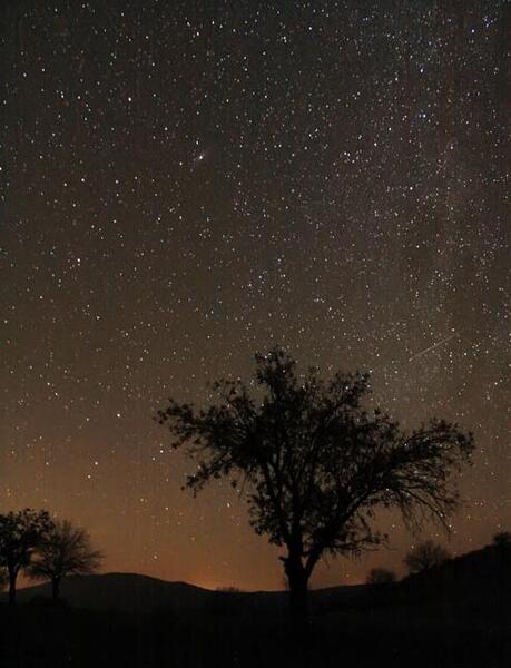 عکس شب ستاره بارون
