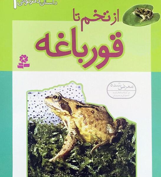 عکس ملکه قورباغه ها