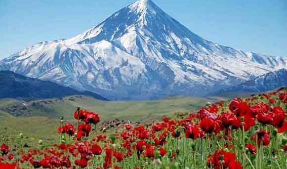 عکس تصویر نویسی