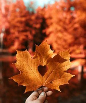 عکس تصویر نارنجی