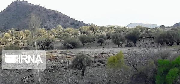 عکس روستای طرنگ بافت