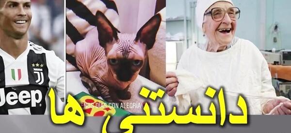 عکس گربه رونالدو