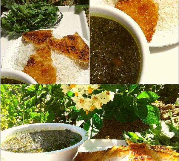 عکس قورمه سبزی در طبیعت