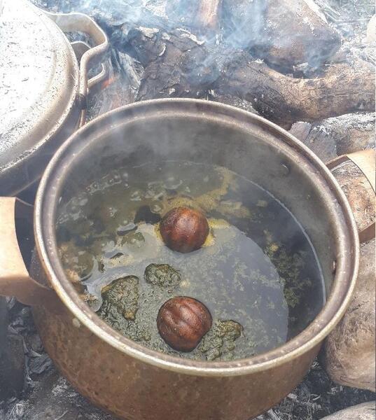 عکس قورمه سبزی در طبیعت