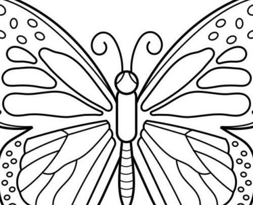 عکس نقاشی پروانه