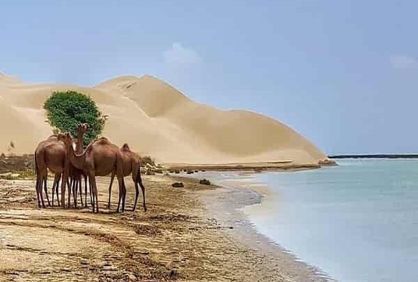 عکس روستا چابهار