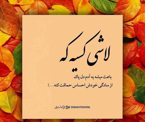 عکس کنه ادم