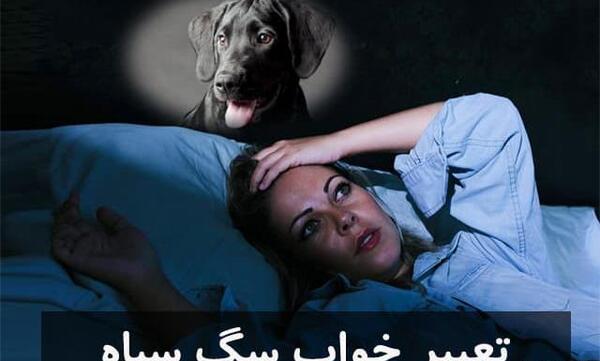 عکس سگ ژرمن مرده