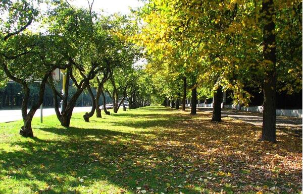 عکس طبیعت واقعی تابستان