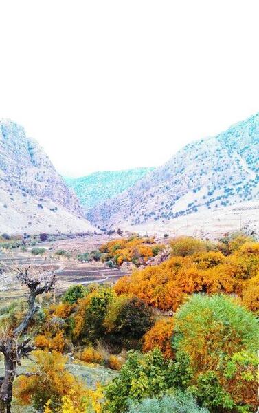 عکس طبیعت یهویی