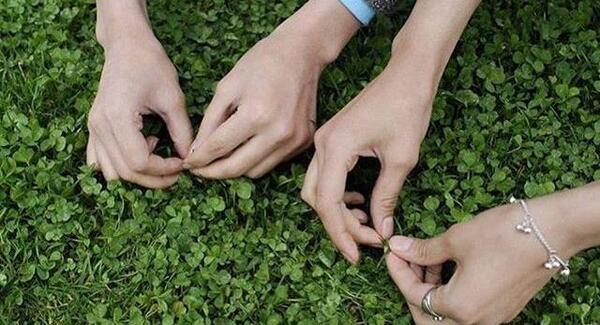 عکس طبیعت یهویی