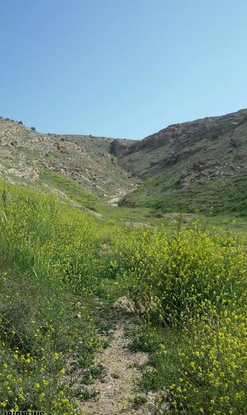 عکس طبیعت یهویی