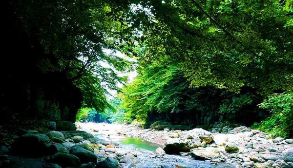 عکس جاهای دیدنی نوشهر