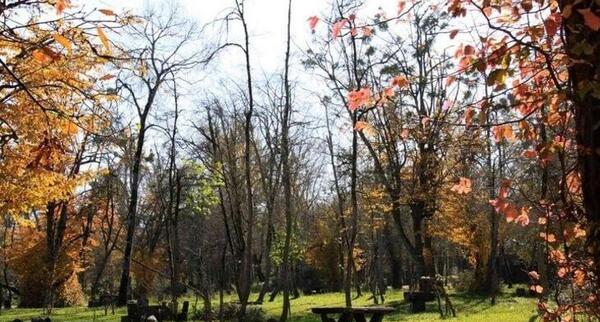 عکس جاهای دیدنی نوشهر