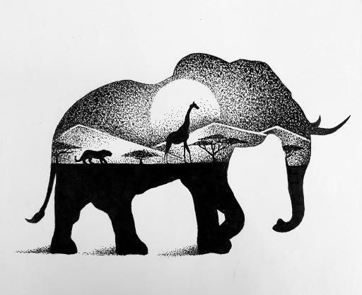 عکس فیل برای طراحی