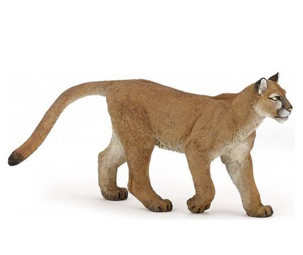 عکس شیر کوهی وحشی