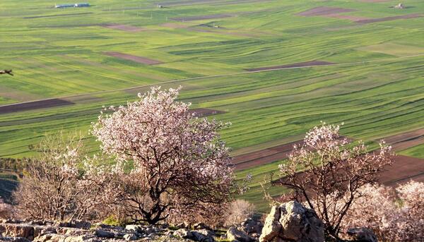 عکس طبیعت نوروزی