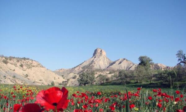 عکس طبیعت نوروزی