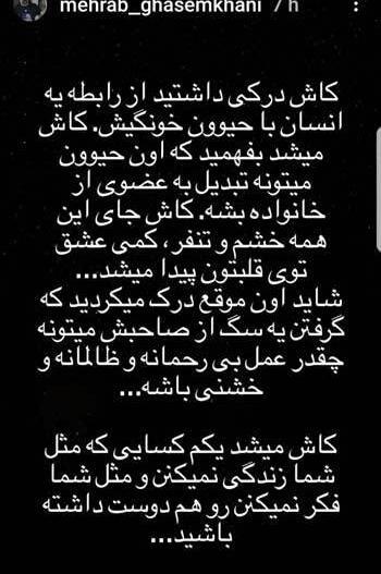 عکس سگ مهراب