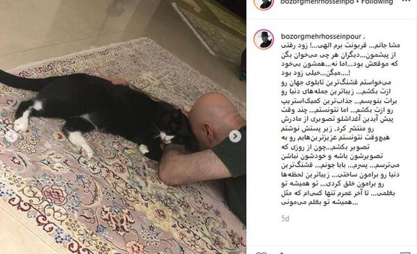 عکس سگ مهراب