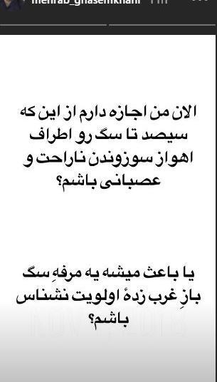 عکس سگ مهراب