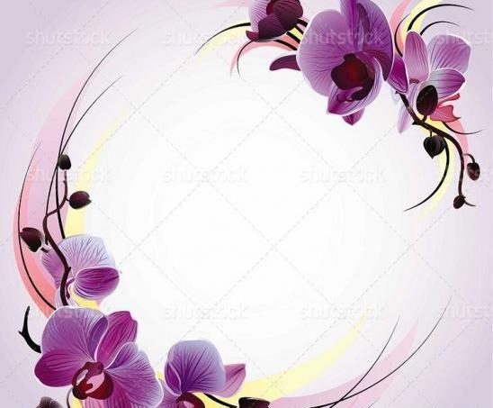 عکس صفحه سفید با حاشیه گل