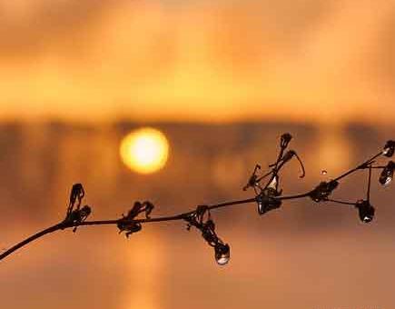 عکس نوشته بدبختی ما گناه بیگانه نبود