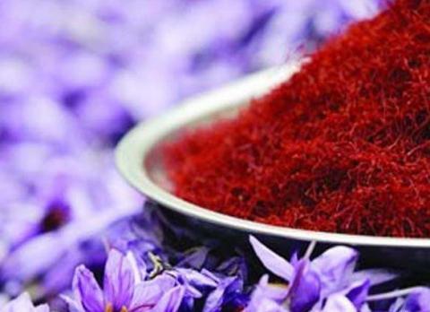عکس زعفران مشهد