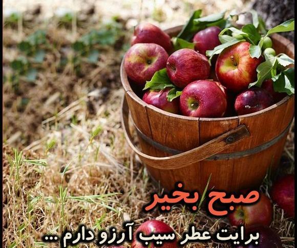 عکس صبح بخیر قدیمی