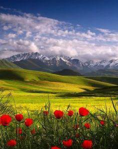 عکس طبیعت پر انرژی