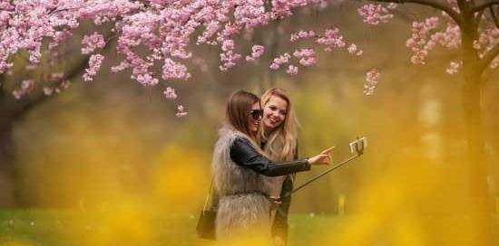 عکس طبیعت پر انرژی