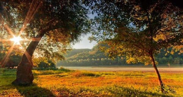 عکس طبیعت زیبا صبح