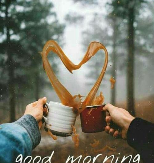 عکس طبیعت زیبا صبح