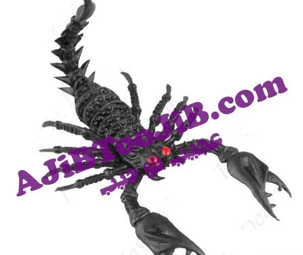 عکس حیوانات ژله ای