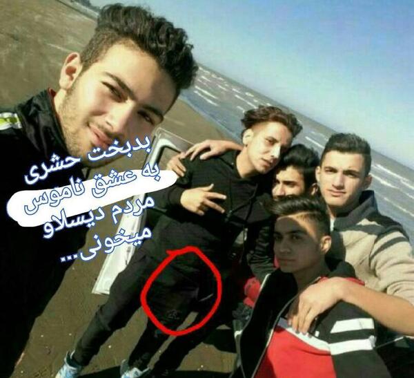 عکس مهراب ریحانه