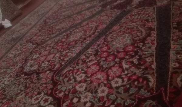 عکس فرش هاتون نی نی سایت