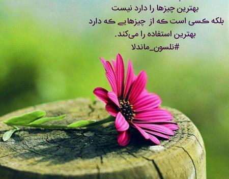 بهترین عکس زندگی